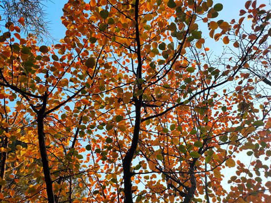 “醉美”重山秋（二）2