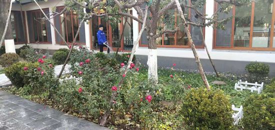 重山思沃瑞組織綠化活動(dòng)