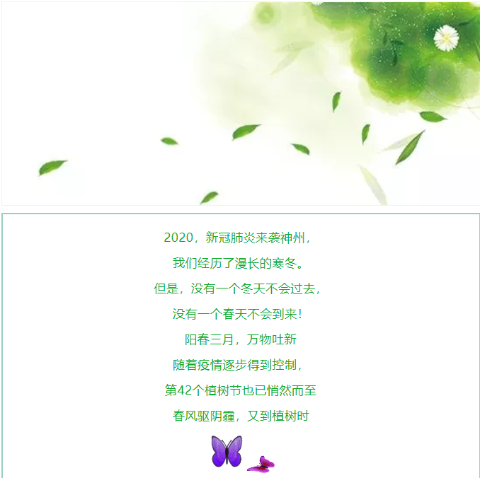 植一片希望 愿山河無恙14