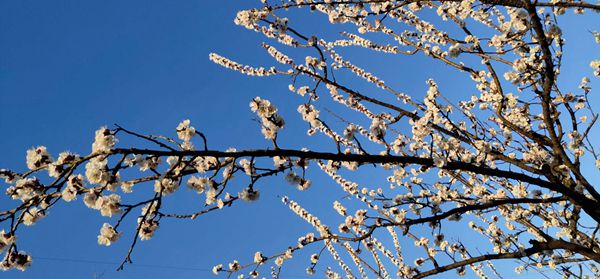 重山春已到 奮斗正當(dāng)時(shí)21