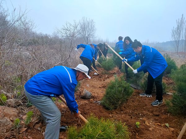 植樹(shù)綠化進(jìn)行時(shí)70
