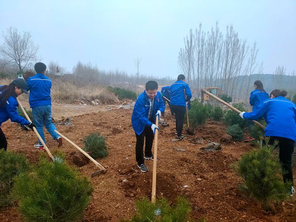 植樹(shù)綠化進(jìn)行時(shí)70