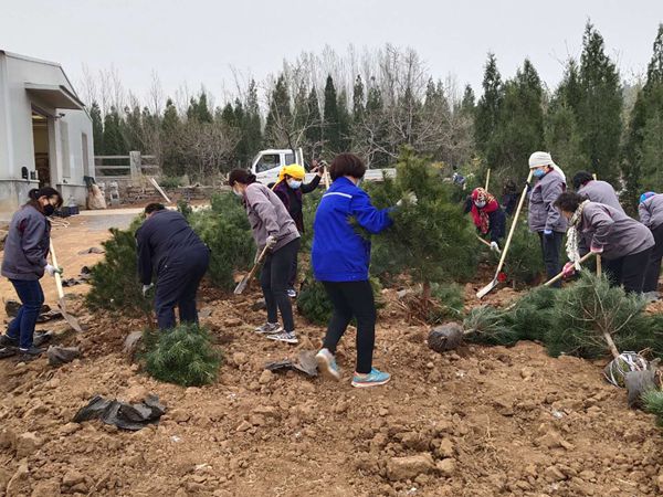 植樹(shù)綠化進(jìn)行時(shí)70