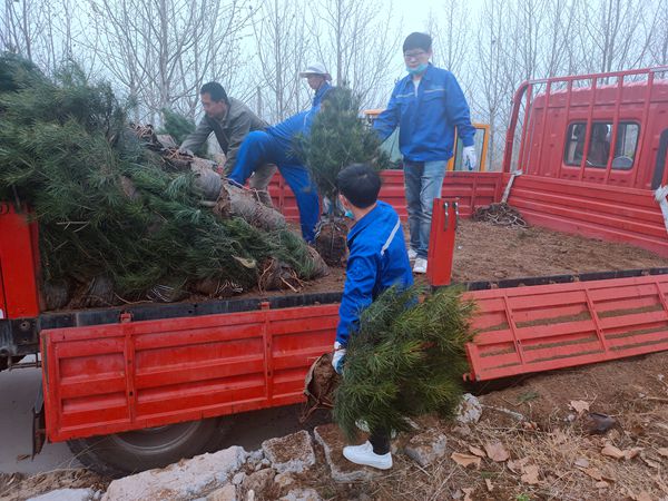 植樹(shù)綠化進(jìn)行時(shí)70