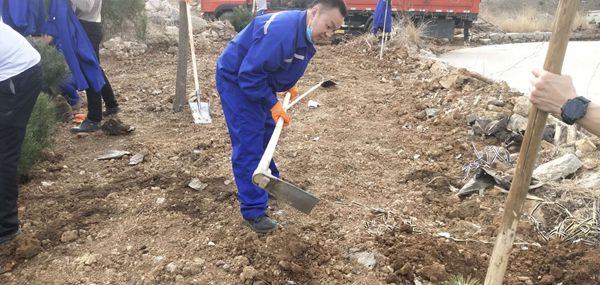 植樹(shù)綠化進(jìn)行時(shí)70