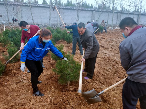 植樹(shù)綠化進(jìn)行時(shí)70