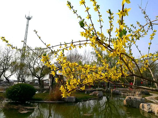 【重山影像】重山春已到 奮斗正當(dāng)時(shí)（二）20