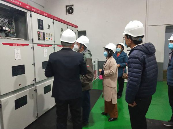 區(qū)發(fā)改局到魯中水泥調研31