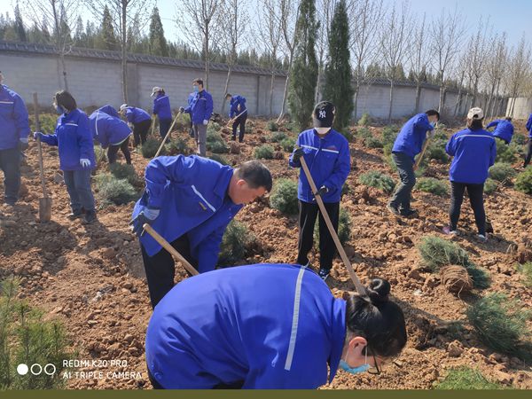 植樹造林 魯中水泥再行動35