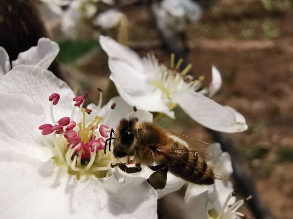 【重山影像】重山春已到 奮斗正當(dāng)時（四）28