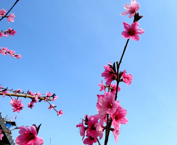 【重山影像】重山春已到 奮斗正當(dāng)時（四）28