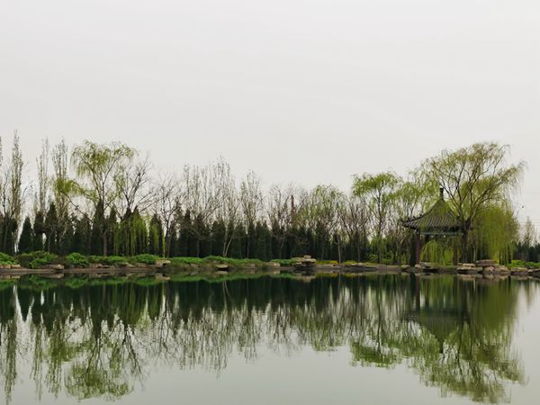 【重山影像】重山春已到 奮斗正當(dāng)時（四）28