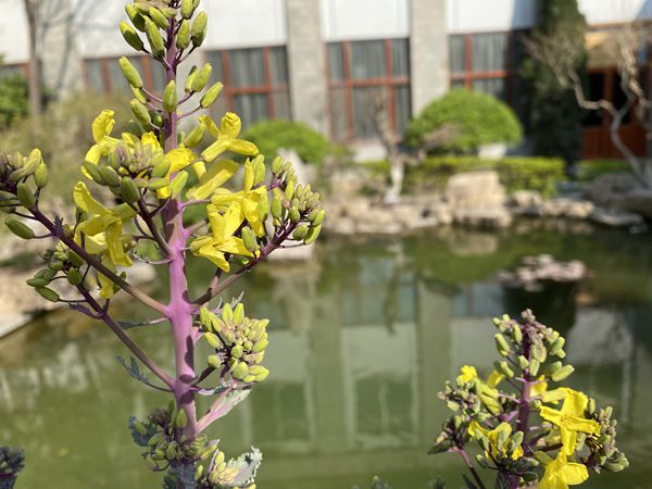 【重山影像】重山春已到 奮斗正當(dāng)時（四）28