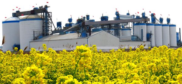 【重山影像】重山春已到 奮斗正當(dāng)時(shí)（五）2