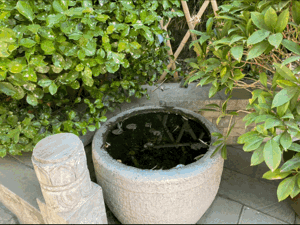 【重山影像】重山春已到 奮斗正當時（六）25