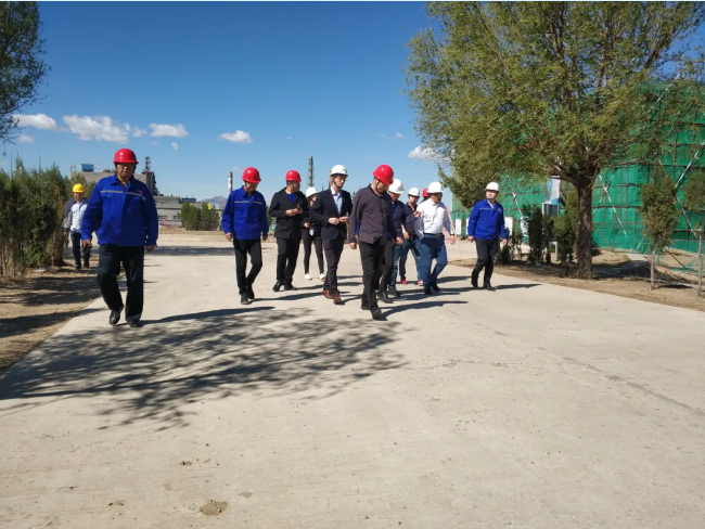 集團公司對鵬峰化工、黃驊三陽進行管理審核52