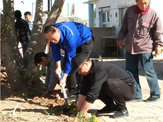 鵬峰化工開展綠化活動85