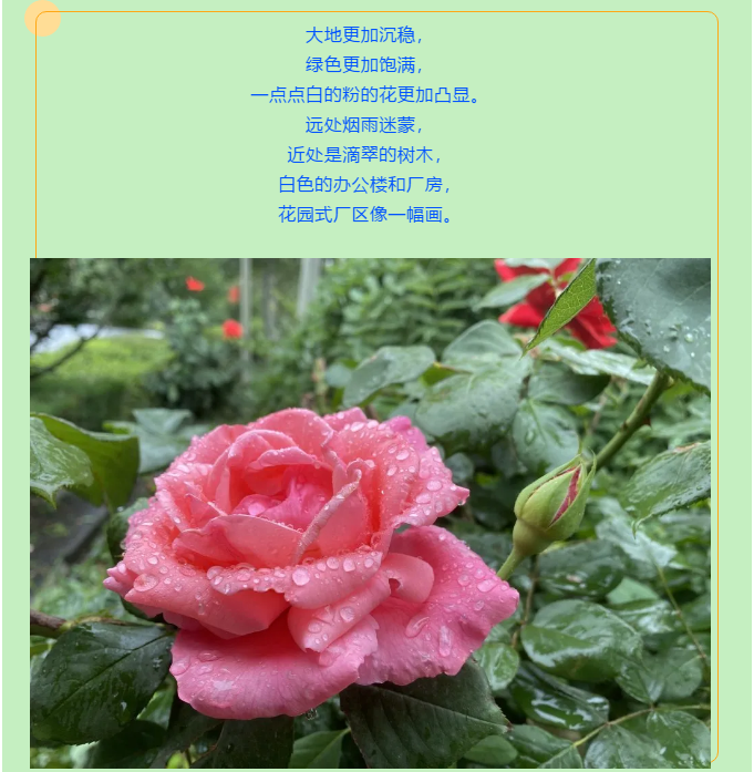 【重山影像】一起來看雨中的重山64