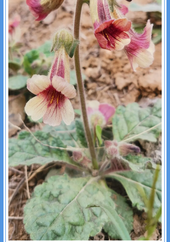 【重山影像】愿你以夢(mèng)為馬 不負(fù)韶華94