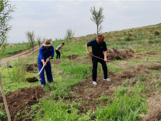 螢澤礦業(yè)開展綠化活動61