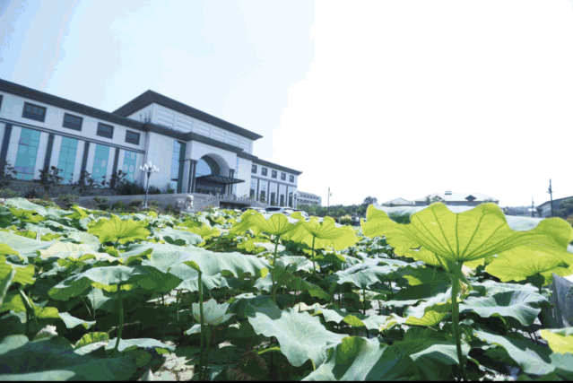 國(guó)旗下的重山好風(fēng)景25