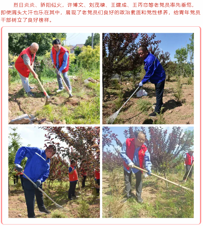 學黨史 辦實事 ——重山集團黨委組織黨員志愿服務活動74