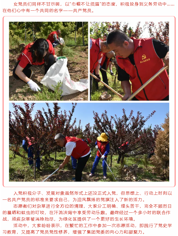 學黨史 辦實事 ——重山集團黨委組織黨員志愿服務活動74