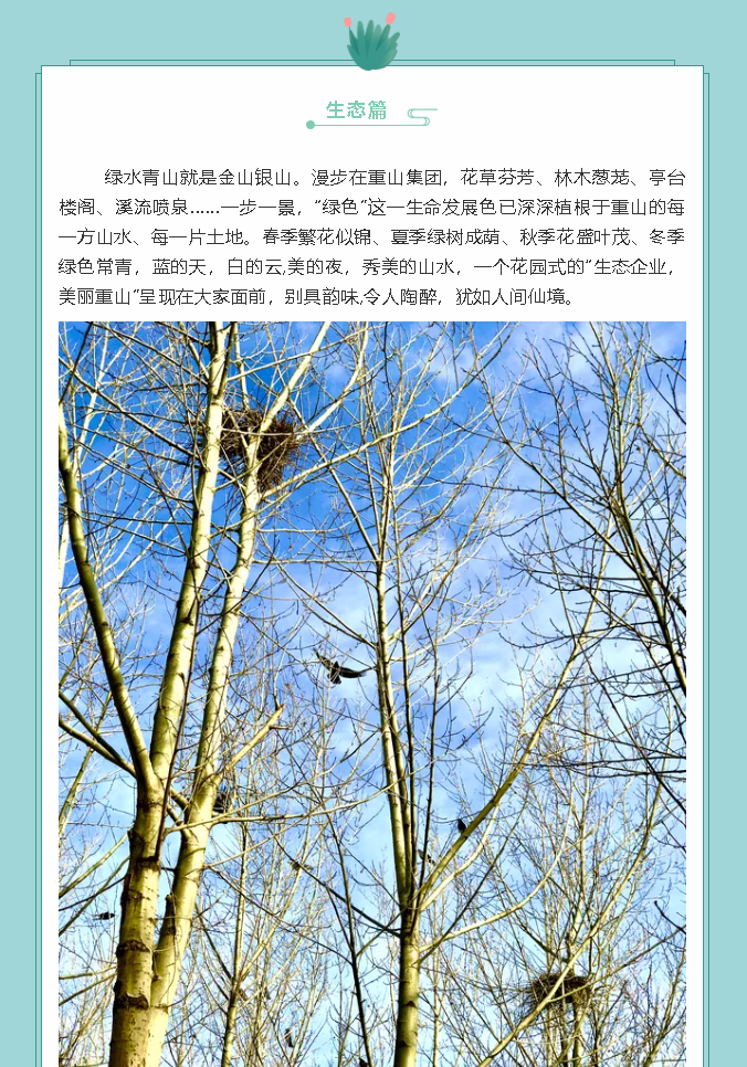 【鏡頭里的重山】邀您共賞重山之美！77