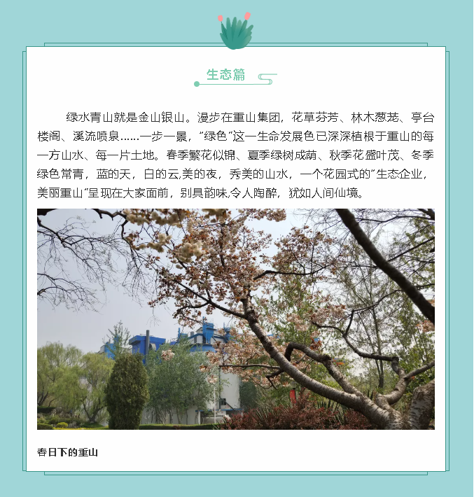 【鏡頭里的重山】邀您共賞重山之美！71