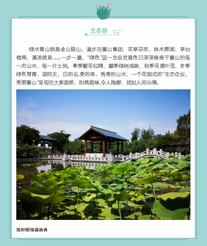 【鏡頭里的重山】邀您共賞重山之美！70