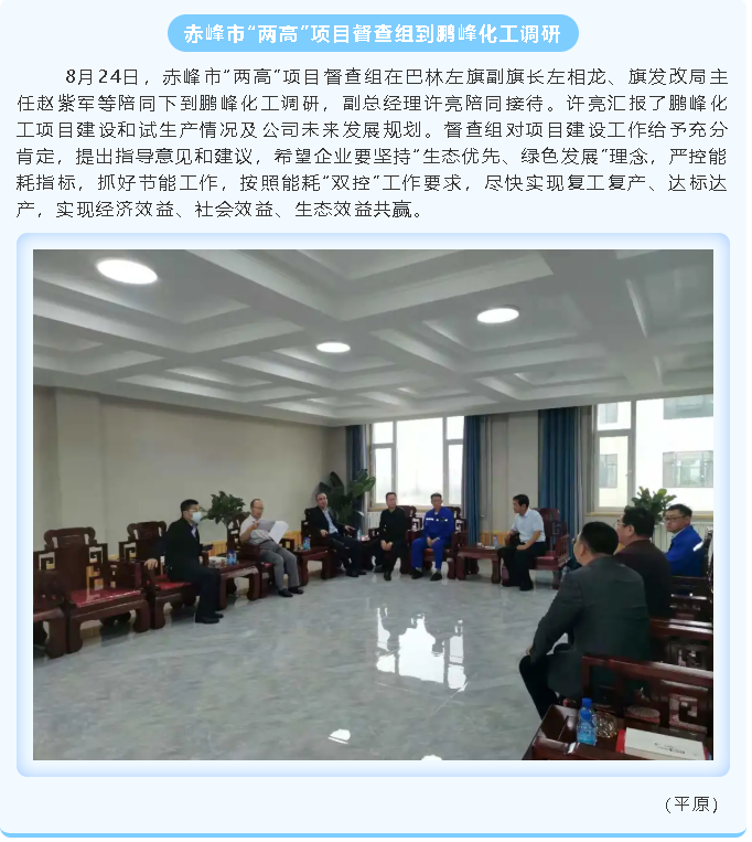 赤峰市“兩高”項目督查組到鵬峰化工調(diào)研85