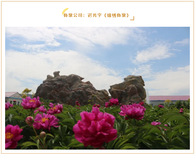 【魅力重山·幸福南韓】書(shū)畫(huà)攝影作品（八）89