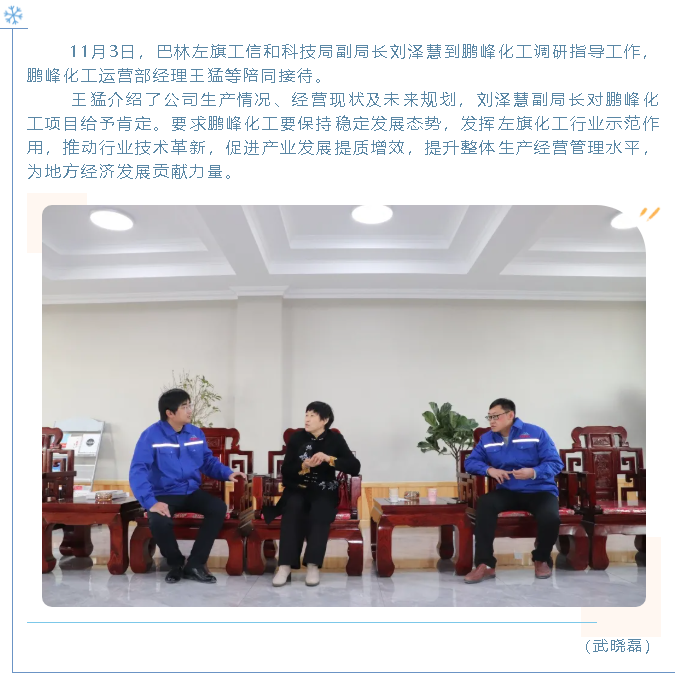 巴林左旗工信和科技局到鵬峰化工調(diào)研56