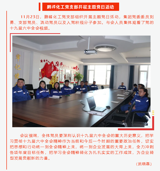 鵬峰化工黨支部開展主題黨日活動16